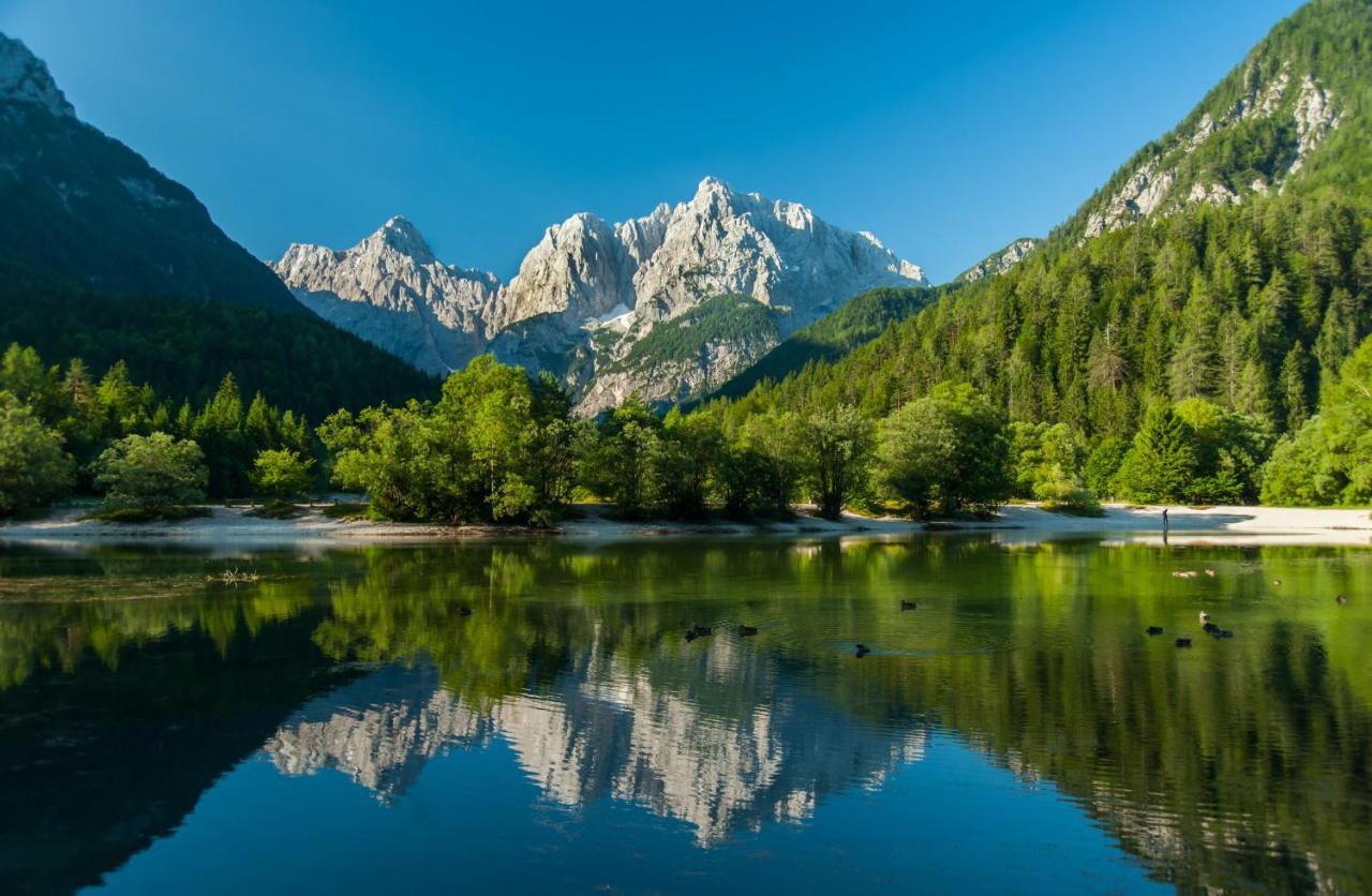 Apartma Happy Kranjska Gora Eksteriør billede
